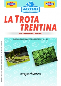 thumbnail of LA TROTA N°3 2011
